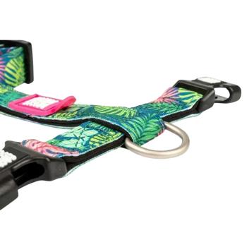 Leash Max and molly Germany - buy, prices for MasterZoo - photo 4