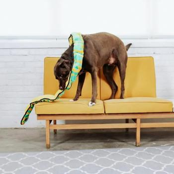 Іграшка для собак Outward Hound Durablez Tough з пищалкою плюш 178см - купити, ціни на MasterZoo - фото 2