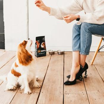 Savory Набір Puppy сухий корм для цуценят 1 кг - індичка та курка + Puppy Turkey Coins ласощі 100 г - індичка та курка - купить, цены на MasterZoo - фото 7