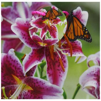 Пакет подарочный Art studio of Happines GB-24100 16х16х7см - купить, цены на ЕКО Маркет - фото 1