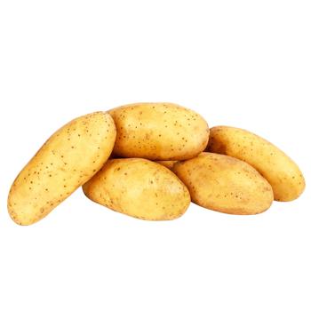 Картофель Гранада Украина