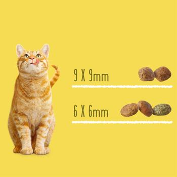 Корм сухий Friskies Sterilized з лососем, тунцем та овочами для стерилізованих котів 10кг - купити, ціни на MasterZoo - фото 5