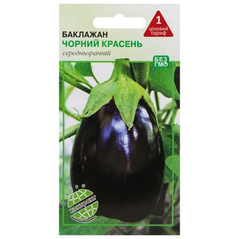 Agrokontrakt Eggplant Black Handsome Seeds 0.5g