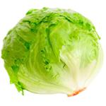 Greens lettuce iceberg fresh