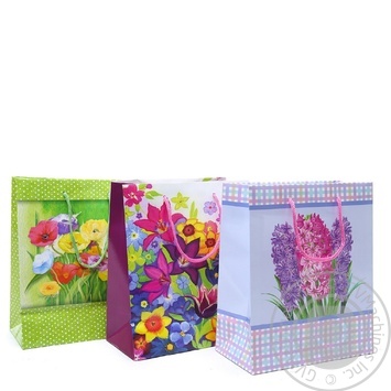 Package - buy, prices for MegaMarket - photo 1