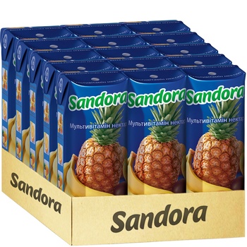 Sandora Multivitamin Nectar 250ml - buy, prices for NOVUS - photo 2