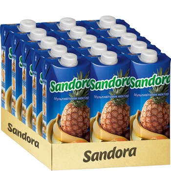 Sandora Multivitamin Nectar 0.5l - buy, prices for METRO - photo 2