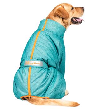 Pet Fashion Cold Raincoat for Dogs s.M Dachshund Turquoise - buy, prices for MasterZoo - photo 3