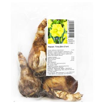 Gold Disk Daffodil Bulbs 3pcs