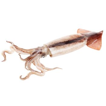 Baby Squid 50/100 - buy, prices for METRO - photo 3
