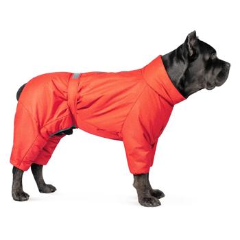 Pet Fashion Cold Raincoat for Dogs s.XS Dachshund Red - buy, prices for MasterZoo - photo 3