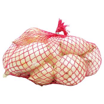White Ukraine Onion