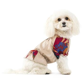 Pet Fashion Solomiya Shirt for Dogs s.XS2 Beige - buy, prices for MasterZoo - photo 5