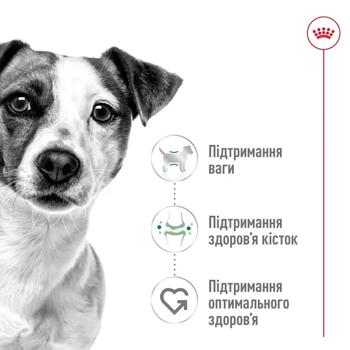 Корм вологий Royal Canin Adult з домашньою птицею для собак малих порід 9+3шт*85г - купити, ціни на MasterZoo - фото 4