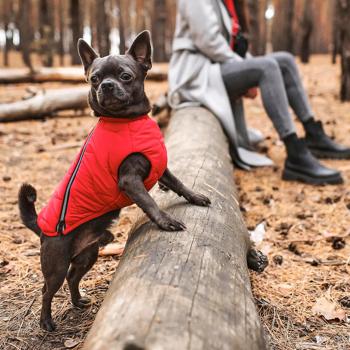 Pet Fashion E.Vest Vest for Dogs s.XS2 Red - buy, prices for MasterZoo - photo 8