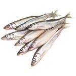 Мойва целая мороженая