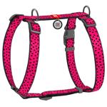 Leash "collar company" llc Ukraine