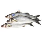 Metro Chef Seabass Greece 400-600