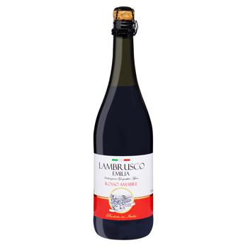 Вино ігристе Vini D`Italia Lambrusco Rosso Amabile Dell`Emilia 8% 0,75л - купити, ціни на NOVUS - фото 1