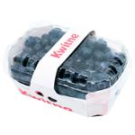 Kwitne Blueberry 300g