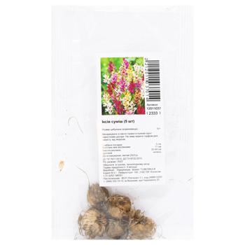 Iksii Potato Bulbs Mix 5pcs