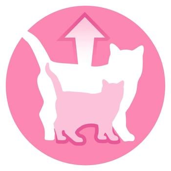 Purina One Junior Wet Food with Salmon and Carrots for Kittens 85g - buy, prices for Ideal - photo 4