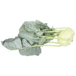 Kohlrabi Cabbage