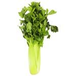 Celery Stalk