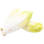 White Chicory