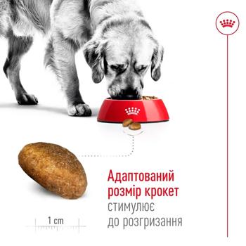Корм сухий Royal Canin Maxi Adult з домашньою птицею для собак великих порід 12кг - купити, ціни на MasterZoo - фото 5