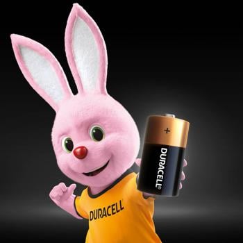 Duracell C Alkaline Batteries 2pcs - buy, prices for METRO - photo 3