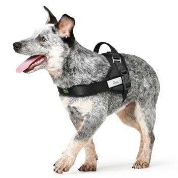 Hunter Norweg Ranger Nylon Dog Harness 68cm/54-76cm/38mm Black - buy, prices for MasterZoo - photo 3