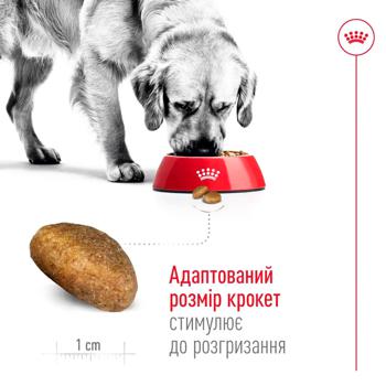 Корм сухий Royal Canin 8+ з домашньою птицею для літніх собак великих порід 15кг - купити, ціни на MasterZoo - фото 3