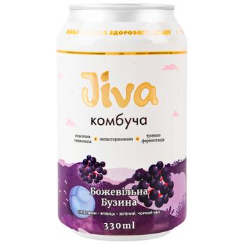 Jiva Crazy Elderberry Kombucha 0.33l - buy, prices for WINETIME - photo 2