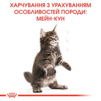 Корм сухий Royal Canin з домашньою птицею для кошенят породи мейн-кун 400г - купити, ціни на MasterZoo - фото 5