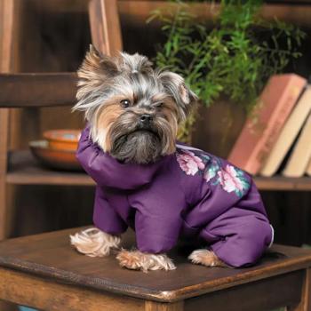 Костюм для собак дівчинок Pet Fashion «Lola» S-2 - купить, цены на MasterZoo - фото 4