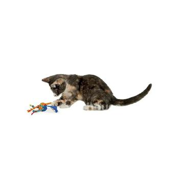 Toy Petstages Usa - buy, prices for MasterZoo - photo 2
