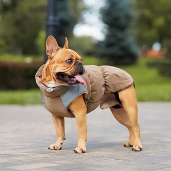 Vest Pet fashion Ukraine - buy, prices for MasterZoo - photo 5