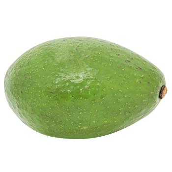 Avocado - buy, prices for NOVUS - photo 1