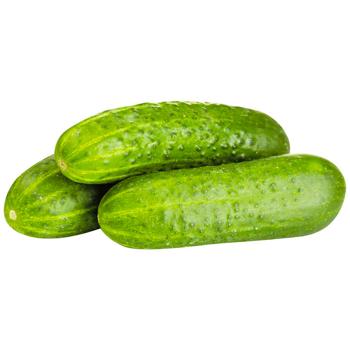 Cucumber Import ~15cm - buy, prices for - photo 4