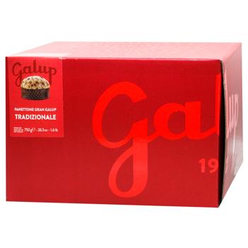 Galup Traditional Panettone 750g