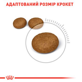 Корм сухий Royal Canin Hair And Skin Care для догляду за шкірою та шерстю у котів 1-7років 2кг - купити, ціни на Восторг - фото 4