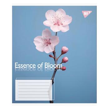 Зошит Yes Essence of Bloom клітинка А5 24 аркуші - купити, ціни на - фото 3