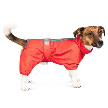 Pet Fashion Rain Raincoat for Dogs s.M2 Red - buy, prices for MasterZoo - photo 2