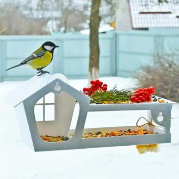 House for Birds House Plastic Window Bird Feeder 15x37x12.5cm - buy, prices for MasterZoo - photo 5