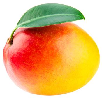 Mango Caliber 7