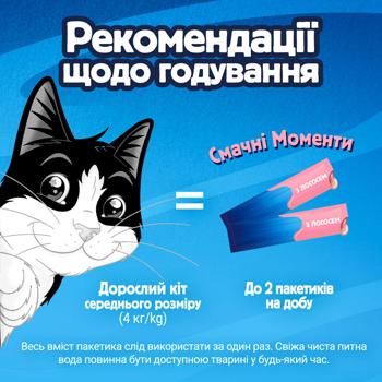 Felix Deli Moments Additional Feed with Salmon for Adult and Senior Cats 40g - buy, prices for MasterZoo - photo 7