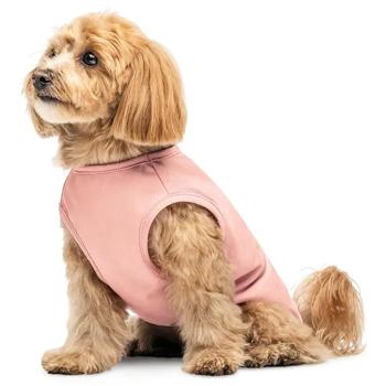 Tank top Pet fashion Ukraine - buy, prices for MasterZoo - photo 3