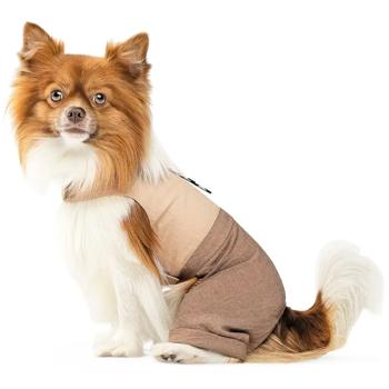 Pet Fashion Darcy Harness-Suit for Dogs s.XXS - buy, prices for - photo 2