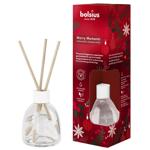 Reed diffuser Bolsius 60ml Poland